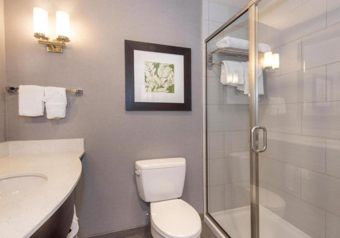 Hotel Hilton Garden Raleigh 3*